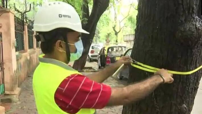 tree surgeon appointed in mumbai tree surgeon appointed in mumbai