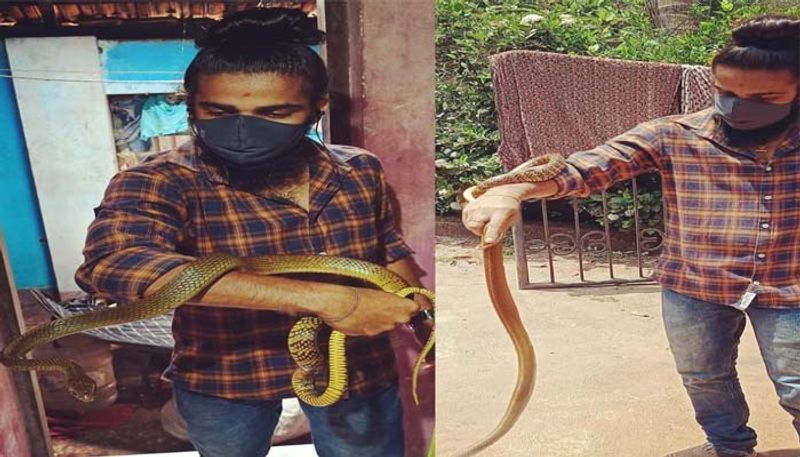 ಹಾವುಗಳ ರಕ್ಷಣೆ ಕಡೆಗೆ ಒಲವು ಹುಟ್ಟಲು ಕಾರಣ
ಹಾವು ಹಿಡಿಯಲು ಪ್ರೇರಣೆ ಅಪ್ಪ ಎಂದು ಹೇಳುವ ಇವರ ತಂದೆ ಸಾಮಾನ್ಯವಾಗಿ ಹತ್ತಿರದ ಯಾವುದೇ ಮನೆಯೊಳಗೆ ಹೆಬ್ಬಾವು ಸೇರಿ ಯಾವುದೇ ತರದ ಹಾವು ಹೊಕ್ಕರೂ ಅದನ್ನು ಜಾಗರೂಕತೆಯಿಂದ ಹಿಡಿದು ಸುರಕ್ಷಿತ ಜಾಗದಲ್ಲಿ ಬಿಡುತ್ತಿದ್ದರಂತೆ. ಅವರನ್ನು ನೋಡಿಕೊಂಡೇ ಬೆಳೆದ ವಿಘ್ನೇಶ್ಗೂ ಹಾವುಗಳನ್ನು ಹಿಡಿಯೋದು ಹವ್ಯಾಸವಾಗಿಬಿಟ್ಟಿದೆ. ಜೊತೆಗೆ ಮೊದಲಿನಿಂದಲೂ ಪ್ರಾಣಿಗಳೆಂದರೆ ತುಂಬಾ ಇಷ್ಟಪಡುತ್ತಿದ್ದ ವಿಘ್ನೇಶ್ ಗೆ ಹಾವುಗಳ ರಕ್ಷಣೆ ಮಾಡೋದು ಕಷ್ಟವಾಗಲಿಲ್ಲವಂತೆ. 