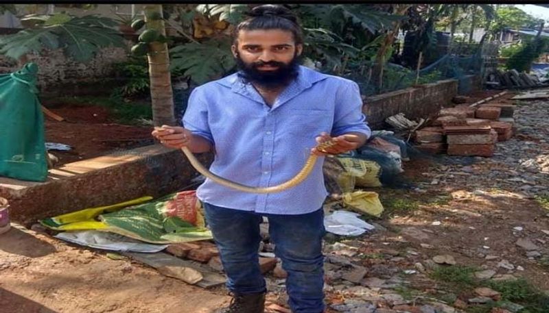 ಇಷ್ಟೇ ಅಲ್ಲದೆ ನಾಗರ ಹಾವಿನ ಮರಿಯನ್ನು ರಕ್ಷಿಸಿ, ಅದಕ್ಕೆ ಚಿಕಿತ್ಸೆ ಕೊಟ್ಟು ಸುರಕ್ಷಿತ ಜಾಗದಲ್ಲಿ ಬಿಟ್ಟಿದ್ದೂ ಇದೆಯಂತೆ. ಇದರ ಜೊತೆ ಮತ್ತೊಂದೆಡೆ ಬಾವಿಯ ನೆಟ್ನಲ್ಲಿ ಸಿಲುಕಿಕೊಂಡಿದ್ದ ದೊಡ್ಡ ನಾಗರ ಹಾವನ್ನು ರಕ್ಷಿಸಿದ ಅನುಭವವೂ ಮರೆಯಲಾಗದ್ದು ಎನ್ನುತ್ತಾರೆ. ಯಾಕೇಂದ್ರ ನಾಗರಹಾವು ವಿಷ ಜಂತು, ನಾಗರಹಾವಿನ ತಲೆ ನೆಟ್ನಲ್ಲಿ ಸಿಕ್ಕಿಹಾಕಿಕೊಂಡಿದ್ದರಿಂದ ತಲೆಯನ್ನೇ ಹಿಡಿಯಬೇಕಾಗಿ ಬಂತು. ಅಲ್ಲಿವರೆಗೆ ವಿಷ ಹಾವಿನ ತಲೆ ಹಿಡಿದ ಅನುಭವವೇ ಇಲ್ಲದ ವಿಘ್ನೇಶ್ಗೆ ಹಾವನ್ನು ರಕ್ಷಿಸುವುದು ಮತ್ತು ಹೊಸ ಅನುಭವವನ್ನು ಪಡೆದುಕೊಳ್ಳುವ ನಿಟ್ಟಿನಲ್ಲಿ ಭಯದಿಂದಲೇ ಅದನ್ನು ರಕ್ಷಣೆ ಮಾಡಿ ಬಿಟ್ಟಿರುವ ಎದೆ ಝಲ್ ಎನಿಸುವಂತೆ ಅನುಭವ ಬಿಚ್ಚಿಟ್ಟರು ಈ ಉರಗ ಪ್ರೇಮಿ. 
