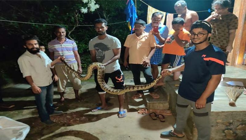ಅತ್ಯುತ್ತಮ ಅನುಭವ :
ಮರೆಯಲಾರದ ಅನುಭವ ಅಂದ್ರೆ ಒಂದೆಡೆ ಹೆಬ್ಬಾವನ್ನು ಹಿಡಿಯಲು ಹೋಗಿದ್ದೆ, ಅದು ಸುಮಾರು 10 ಅಡಿ ಇದ್ದು, ದೈತ್ಯಾಕಾರವಾಗಿತ್ತು, ಜೊತೆಗೆ ತುಂಬಾನೇ ಕ್ರೋಧಿತವಾಗಿತ್ತು. ಅದನ್ನು ಹಿಡಿಯಲು ತುಂಬಾ ಕಷ್ಟ ಪಡಬೇಕಾಗಿದ್ದು, ಜೊತೆಗೆ ಅದರಿಂದ ಕಚ್ಚಿಸಿಕೊಂಡಿದ್ದೇನೆ ಎಂದು ಭಯಾನಕ ಅನುಭವವನ್ನು ಬಿಚ್ಚಿಟ್ಟರು ವಿಘ್ನೇಶ್. ಮತ್ತೊಂದು ಮೆಮೊರೇಬಲ್ ಘಟನೆ ಎಂದರೆ ನಾಗರಹಾವನ್ನು ಬಾವಿಯಿಂದ ಸುಲಭವಾಗಿ ಮರದ ಗೆಲ್ಲನ್ನು ಇಳಿಸಿ ಮೇಲೆ ತೆಗೆದ ಅನುಭವ ಚೆನ್ನಾಗಿತ್ತು. ಇದರಿಂದ ಹೊಸ ಹೊಸ ಎಕ್ಸ್ ಪೀರಿಯನ್ಸ್ ದೊರೆತಿದೆ ಎನ್ನುತ್ತಾರೆ. 