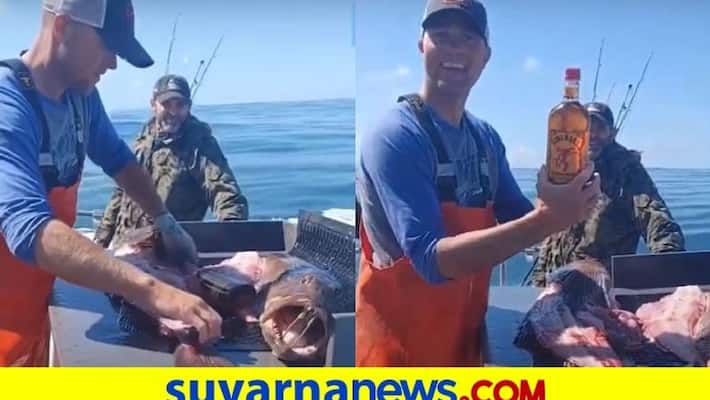Unopened bottle of whisky inside Fish stomach fisherman surprise video goes viral ckm Unopened bottle of whisky inside Fish stomach fisherman surprise video goes viral ckm