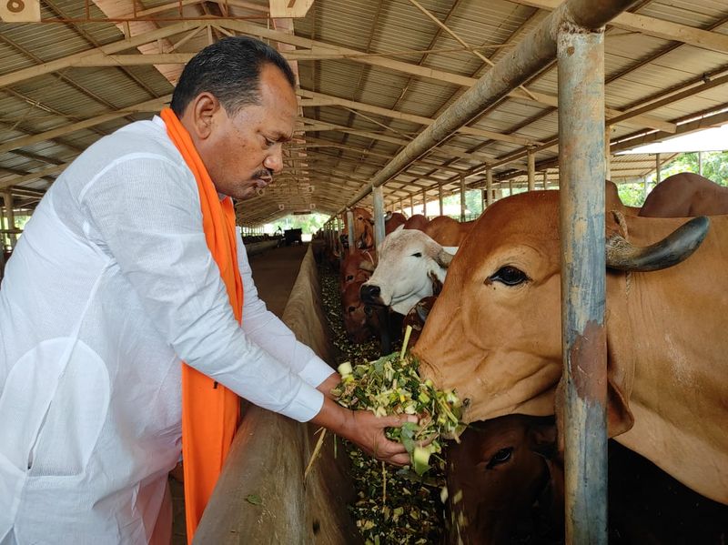 ಗೋರಕ್ಷಣೆಗೆ ಆಂಬ್ಯುಲೆನ್ಸ್, ಆರ್ಟ್ ಆಫ್ ಲಿವಿಂಗ್ ಗೋಶಾಲೆಗೆ ಚೌಹಾಣ್ ಭೇಟಿ