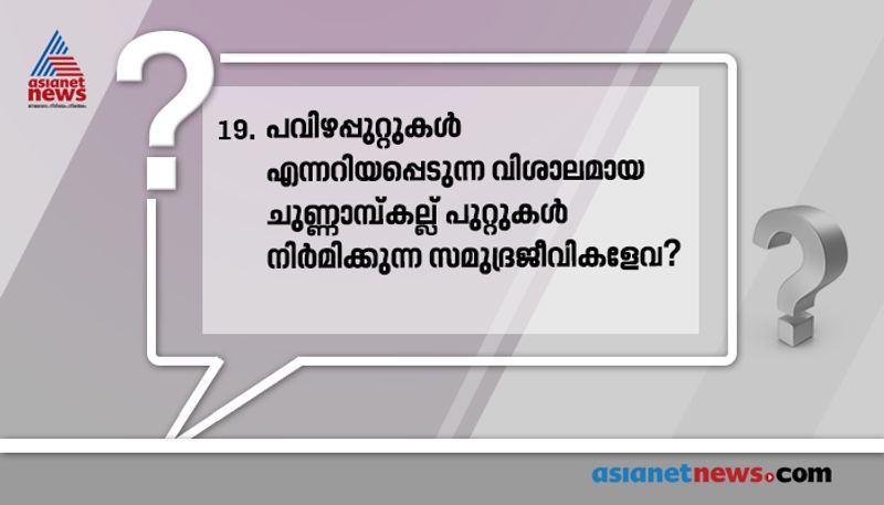 ഉത്തരം: കോറൽ പോളിപ്സ്