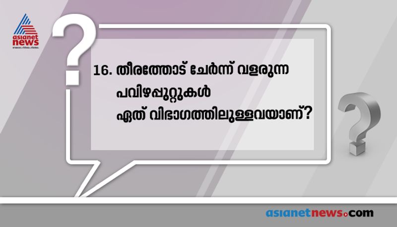 ഉത്തരം: പ്രാന്തീയ കടൽപുറ്റുകൾ (ഫ്രിൻ ജിങ് റിഫ്സ്)