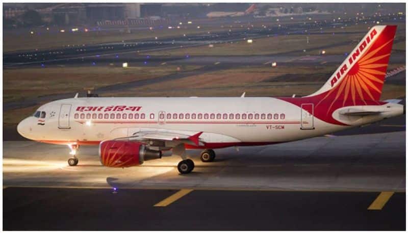 Air India dog travel