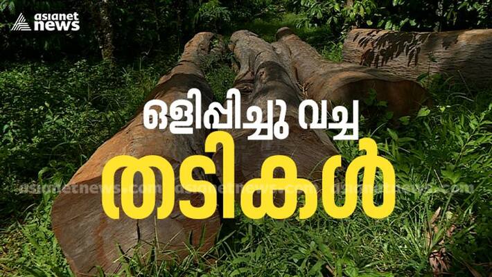 timber worth lakhs hidden inside bushes officials side with robbers timber worth lakhs hidden inside bushes officials side with robbers