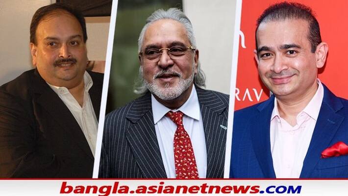 ed transfers of nirav modi mehul choksi vijay mallya s seized assets to bank bsm ed transfers of nirav modi mehul choksi vijay mallya s seized assets to bank bsm