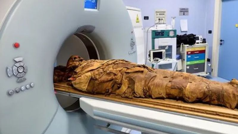 शोधकर्ताओं का कहना है कि वे मिस्र के पुजारी के जिंदगी और मृत्यु के बारे में पता कर सकते हैं और समझ सकते हैं कि शरीर को ममी बनाने के लिए किस तरह के प्रोडक्ट्स का इस्तेमाल किया गया था।
