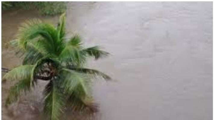 water level rising in meenachil river kottayam erattupetta water level rising in meenachil river kottayam erattupetta
