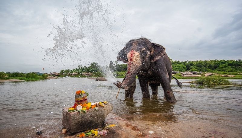 ಪ್ರಸ್ತುತ ಗಂಗಾವತಿಯ ಕೆಪಿಟಿಸಿಎಲ್ನಲ್ಲಿ ಕಿರಿಯ ಅಭಿಯಂತರರಾಗಿ ಕಾರ್ಯನಿರ್ವಹಿಸುತ್ತಿರುವ ಹವ್ಯಾಸಿ ಛಾಯಾಗ್ರಾಹಕ ಶ್ರೀನಿವಾಸ ಎಣ್ಣಿ