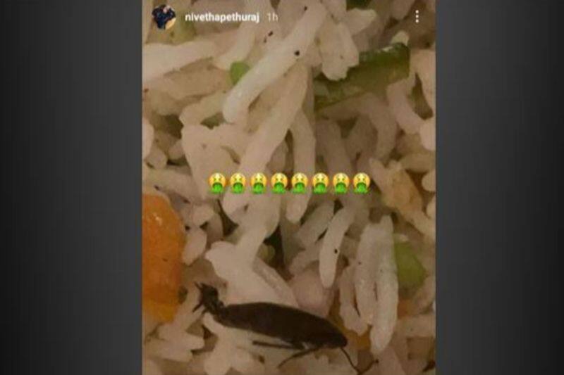 nivetha pethuraj order food in online delivered cockroach rice