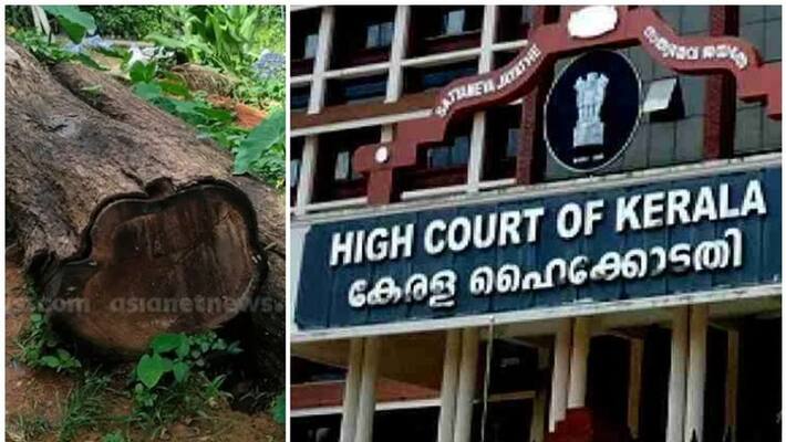 muttil case culprits advance bail application in high court muttil case culprits advance bail application in high court