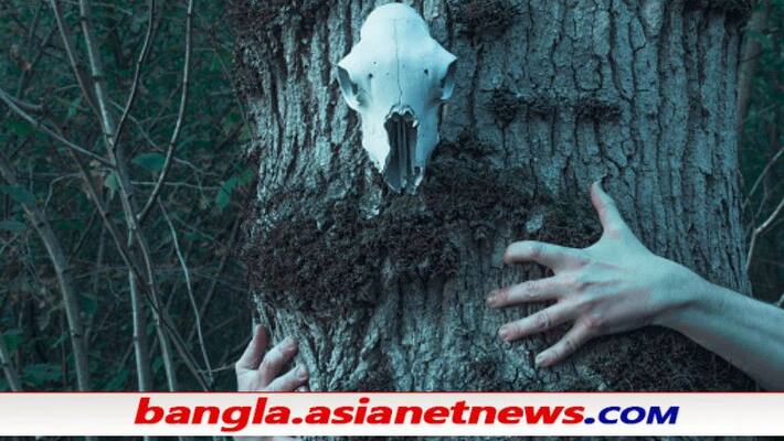 Bihar woman complains against an occultist for raping her in dreams ALB Bihar woman complains against an occultist for raping her in dreams ALB