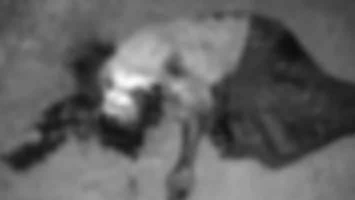 nellai rowdy murder nellai rowdy murder