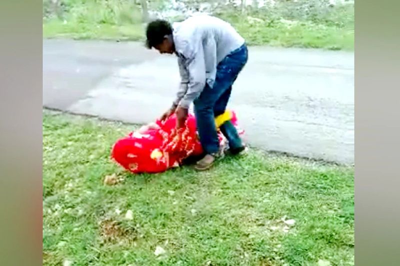 मामले की जांच कर रहे रीवा एसएसपी शिव कुमार वर्मा ने कहा कि युवक ने घर वालों की मर्जी के बिना शादी की थी। जिससे नाराज होकर बड़े भाई ने दुल्हन के साथ मारपीट की है।
