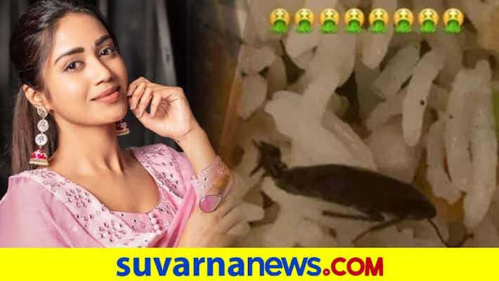 Tamil actor Nivetha Pethuraj complains to Swiggy after finding cockroaches in her meals shares pic dpl Tamil actor Nivetha Pethuraj complains to Swiggy after finding cockroaches in her meals shares pic dpl