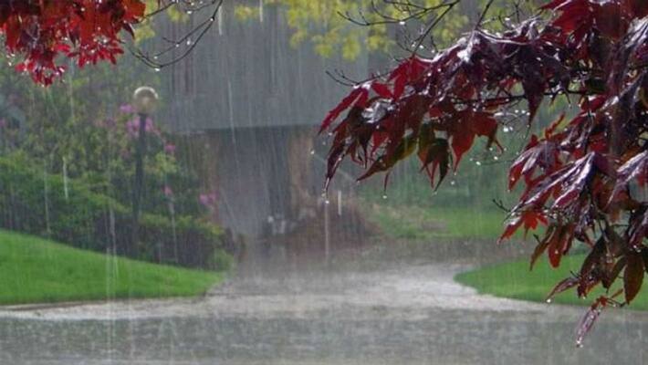 Light to moderate rains are expected in South Bengal till July 1 bmm Light to moderate rains are expected in South Bengal till July 1 bmm