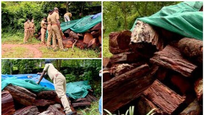 illegal tree cutting in Idukki case against three people including cpi leader illegal tree cutting in Idukki case against three people including cpi leader