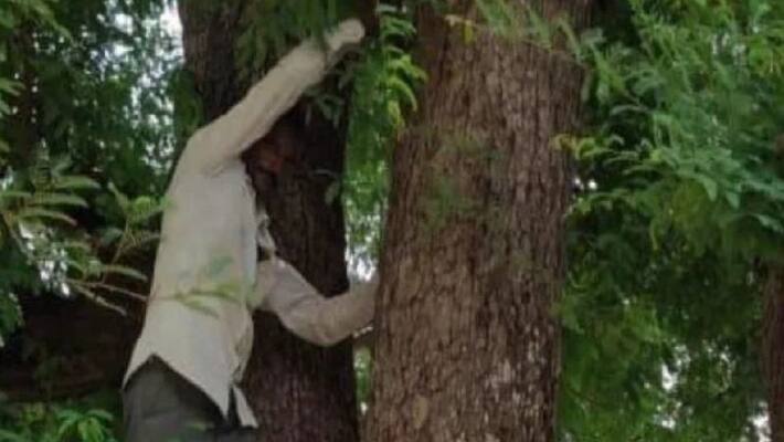 madhya pradesh husband climbing tree with aadhar card avoid corona vaccine in rajgarh KPR madhya pradesh husband climbing tree with aadhar card avoid corona vaccine in rajgarh KPR