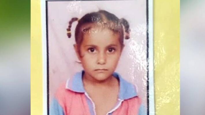 dogs attacked 6 year old innocent girl killed in alwar kpr dogs attacked 6 year old innocent girl killed in alwar kpr