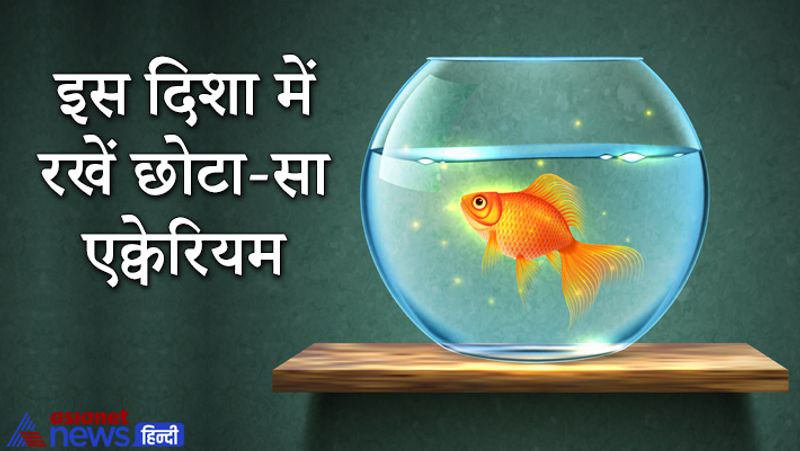 इस दिशा में रखें छोटा-सा एक्वेरियम
घर की उत्तर-पूर्व दिशा में पानी की छोटी चीजें रखने से सकारात्मक ऊर्जा बढ़ती है और धन का आगमन सुचारु होता है। इस दिशा में एक छोटा सा एक्वेरियम रखना चाहिए या फिर पानी के बर्तन में एक धातु का कुछआ व मछली भी रखी जा सकती है।
