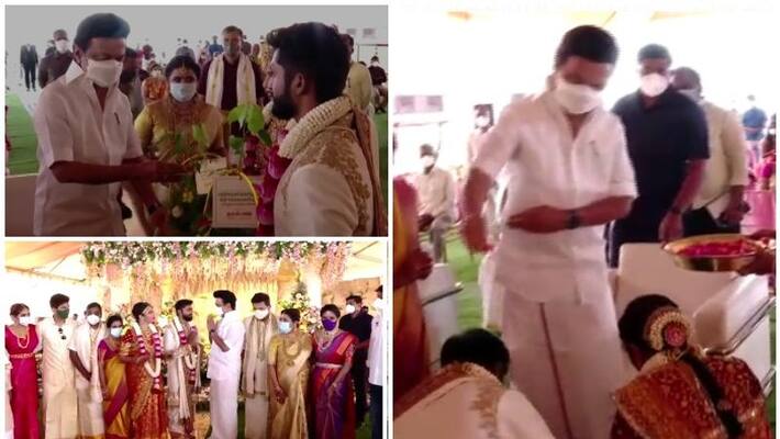 CM Mkstalin and udhyanithi stalin participate Director Shankar daughter marriage video CM Mkstalin and udhyanithi stalin participate Director Shankar daughter marriage video