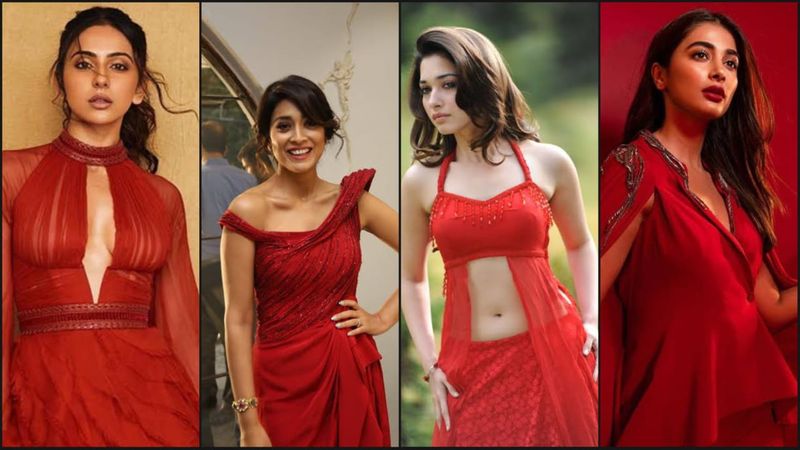 వీరితోపాటు నార్త్ కి చెందిన స్టార్ హీరోయిన్స్ రకుల్, పూజా హెగ్డే, తమన్నా, తాప్సీ, శ్రియా వంటి భామలు సౌత్లో నిరూపించకుని, నార్త్ లో రాణించేందుకు కష్టపడుతున్నారు. ఈ విషయంలో తాప్సీ సక్సెస్ కాగా, రకుల్, తమన్నా ఇంకా స్ట్రగుల్ అవుతూనే ఉన్నారు.