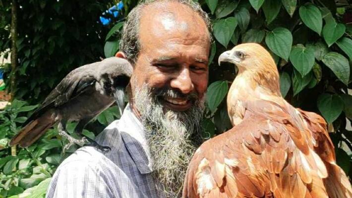 The hawk and the crow loved the one who saved their life The hawk and the crow loved the one who saved their life
