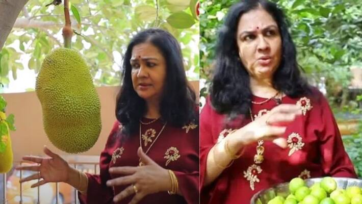 artist urvashi introduce her home in chennai artist urvashi introduce her home in chennai