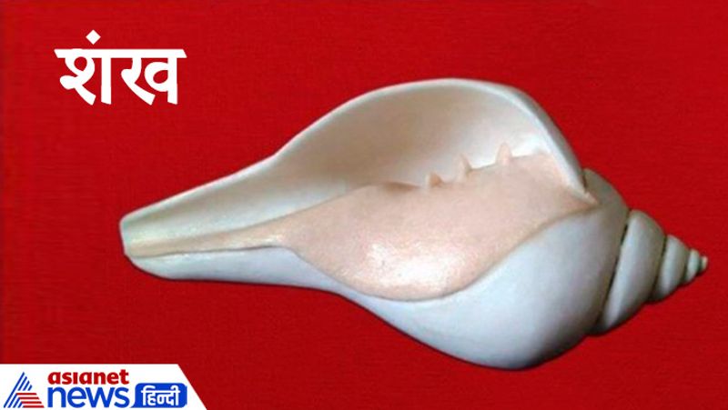 5. शंख
जिस घर में शंख होता है वहां लक्ष्मी का वास होता है। शंख सूर्य व चंद्र के समान देवस्वरूप है जिसके मध्य में वरुण, पृष्ठ में ब्रह्मा तथा अग्र में गंगा और सरस्वती नदियों का वास है। तीर्थ यात्रा से जो लाभ मिलता है, वही लाभ शंख के दर्शन और पूजन से मिलता है।