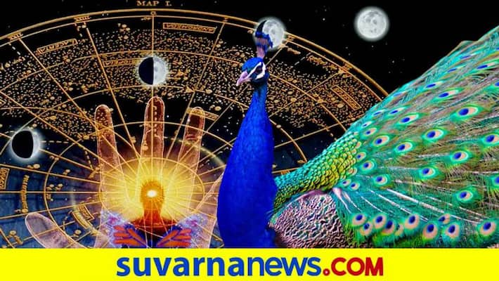 Which mythical animal you are according to Zodiac Which mythical animal you are according to Zodiac