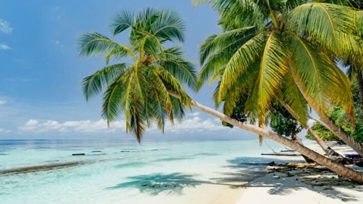 visa free travel to India for Maldives bsm visa free travel to India for Maldives bsm