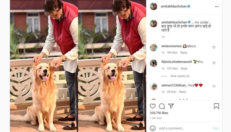 Big B is seen cuddling the dog in the picture, and the pup is seen enjoying it as he smiles at the camera. Big B posted another picture with the furball yesterday, accompanying it with a cute caption that mentioned how the pup always listens to him. 