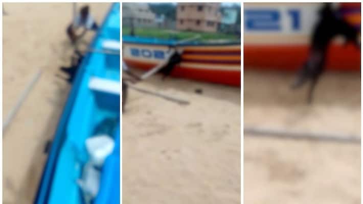 Three held in Dog attack case in Vizhinjam Three held in Dog attack case in Vizhinjam