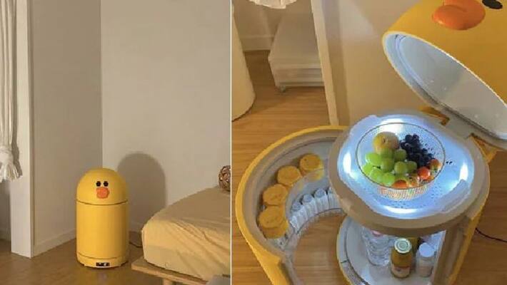 duck shaped mini fridge goes viral in twitter duck shaped mini fridge goes viral in twitter