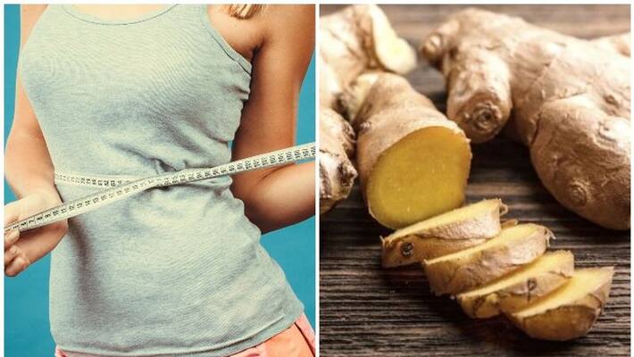 Ginger For Weight Loss Ginger For Weight Loss