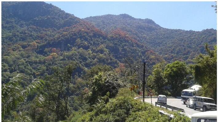 Nilgiris became the first district to covid vaccinate all tribals above the age of 18 years Nilgiris became the first district to covid vaccinate all tribals above the age of 18 years