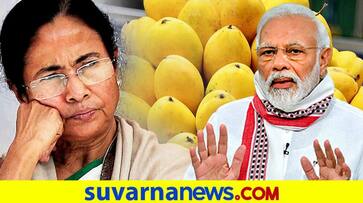 Sweet gesture CM Mamata Banerjee sends PM Narendra Modi West Bengal Mangoes dpl Sweet gesture CM Mamata Banerjee sends PM Narendra Modi West Bengal Mangoes dpl