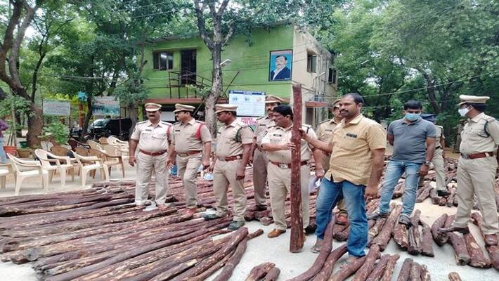 Task force finds huge red sandalwood dump in Chittoor - bsb Task force finds huge red sandalwood dump in Chittoor - bsb