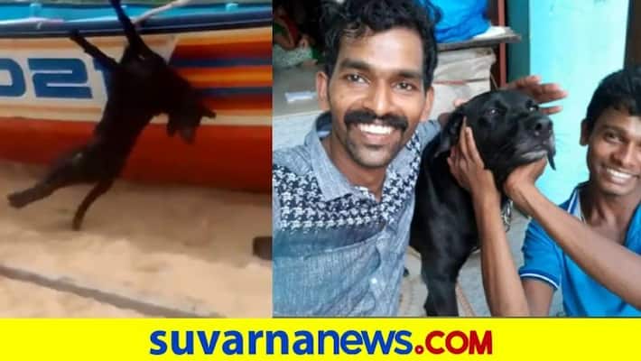 Youths Brutally Assault Pet Dog To Death In Kerala 3 arrested dpl Youths Brutally Assault Pet Dog To Death In Kerala 3 arrested dpl