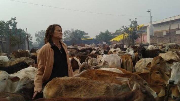 Friederike Irina Bruning came from germany now protecting cows Friederike Irina Bruning came from germany now protecting cows