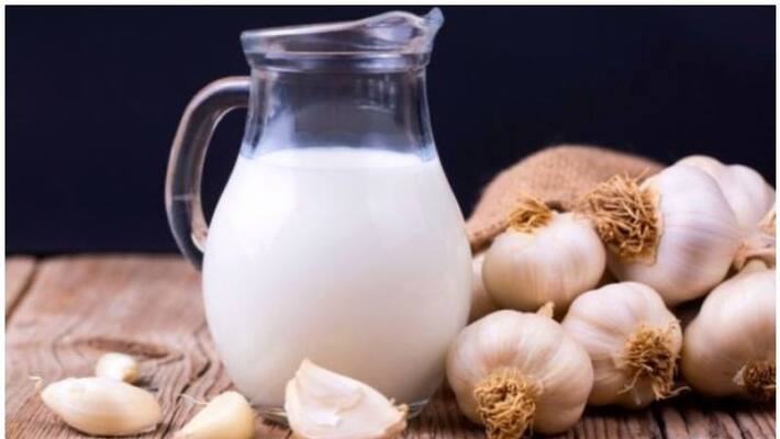 health benefits of immunity boosting garlic milk health benefits of immunity boosting garlic milk