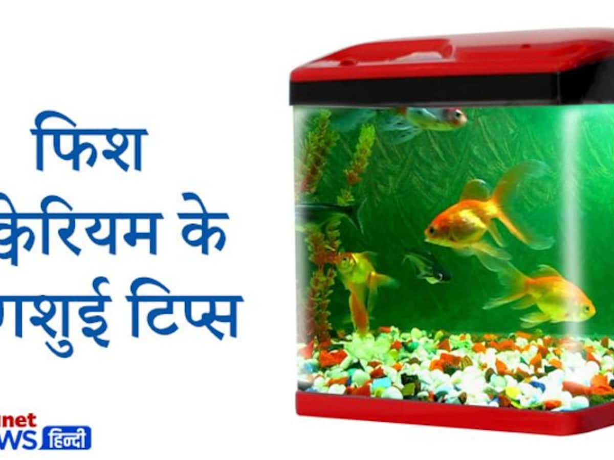 घर म रखन च हत ह फ श एक व र यम त ध य न रख य 7 ब त इस गलत द श म रखन स बढ सकत ह पर श न य Know The Feng Shui Tips For Keeping Fish