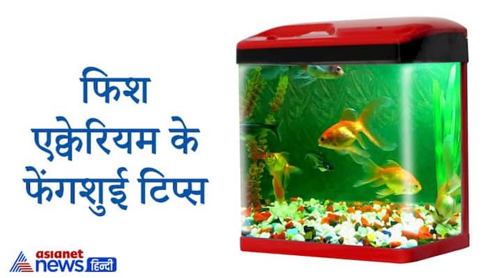 Know the Feng Shui tips for keeping fish aquarium KPI Know the Feng Shui tips for keeping fish aquarium KPI