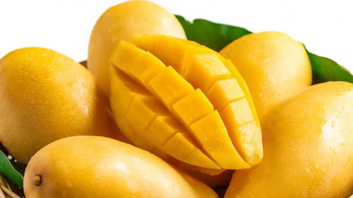 Karnataka govt launches website to sell mangoes to be delivered to customers doorsteps gcw Karnataka govt launches website to sell mangoes to be delivered to customers doorsteps gcw