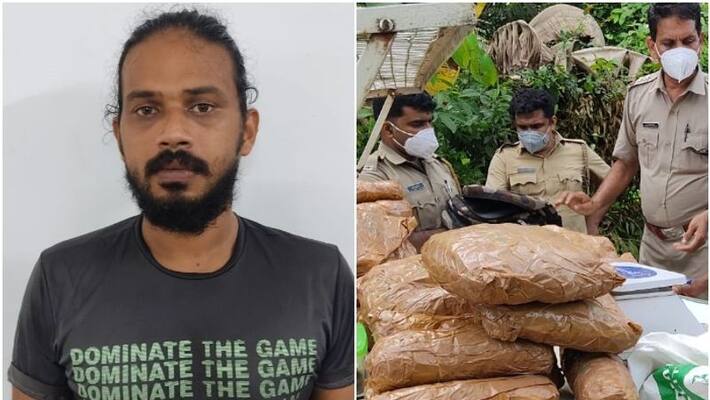 21 kg ganja seized from innova car in malappuram 21 kg ganja seized from innova car in malappuram