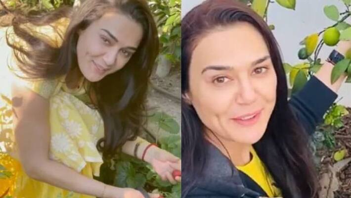 Preity Zinta s kitchen garden video viral Preity Zinta s kitchen garden video viral