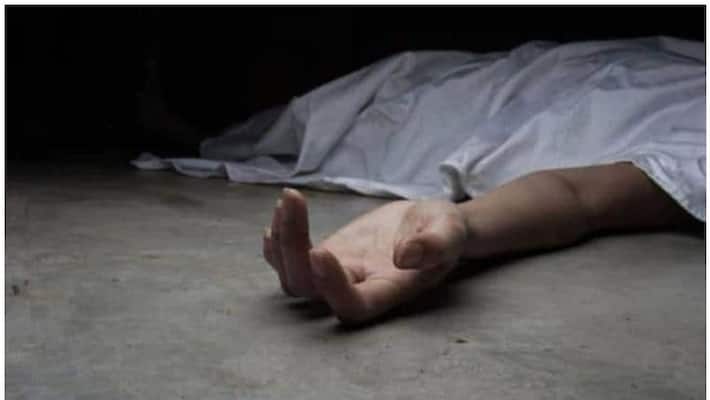 boy dies bees attack in Maharashtra boy dies bees attack in Maharashtra