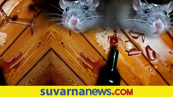 Rats empty wine from 12 closed bottles kept in liquor outlet mah Rats empty wine from 12 closed bottles kept in liquor outlet mah