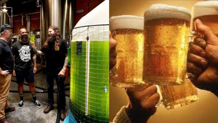 craft brewery using algae to cut emissions in australia craft brewery using algae to cut emissions in australia